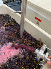 Load image into Gallery viewer, 2020 Syrah, Perli Vineyard