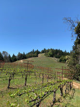 Load image into Gallery viewer, 2020 Syrah, Perli Vineyard