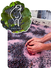Load image into Gallery viewer, Pinot Noir, Non-Vintage Nº1